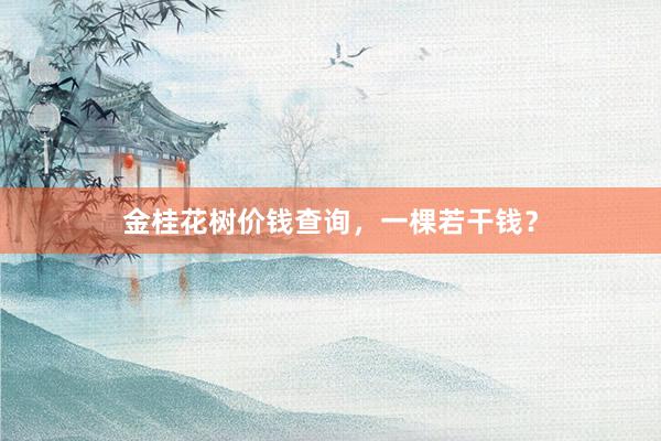 金桂花树价钱查询，一棵若干钱？
